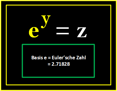 Euler Bild