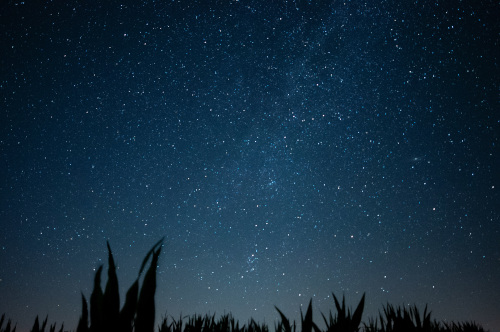 Nacht