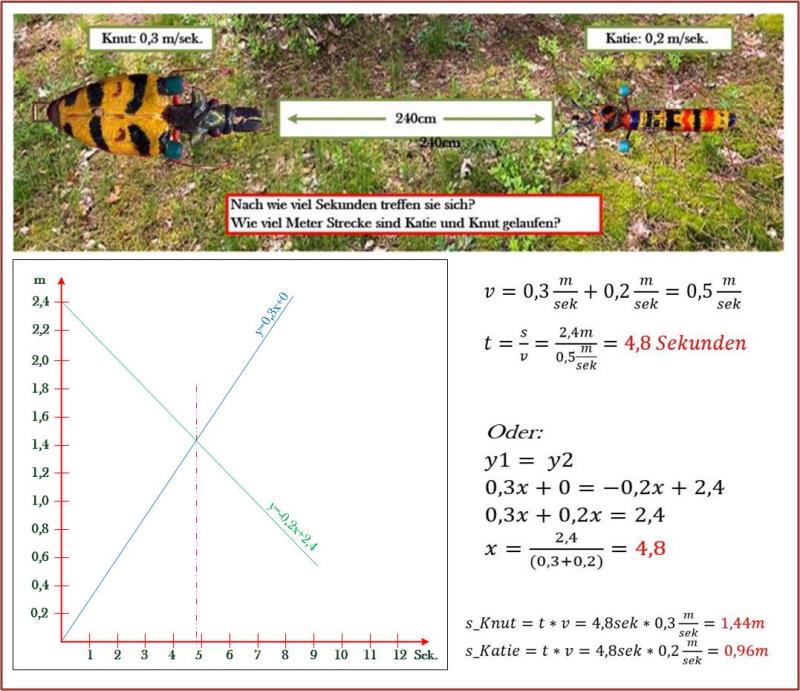 Mathematik Lösung Geschwindigkeit