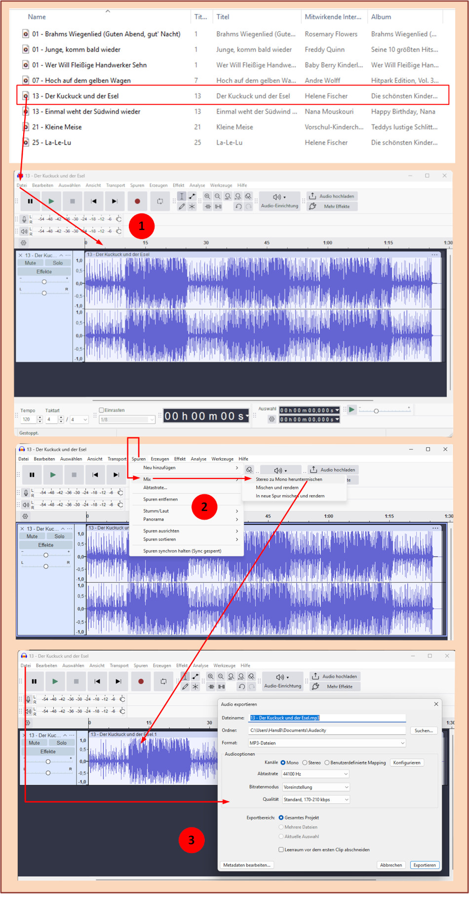 Audacity Stereo Mono
