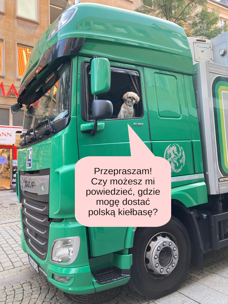 LKW und Hund