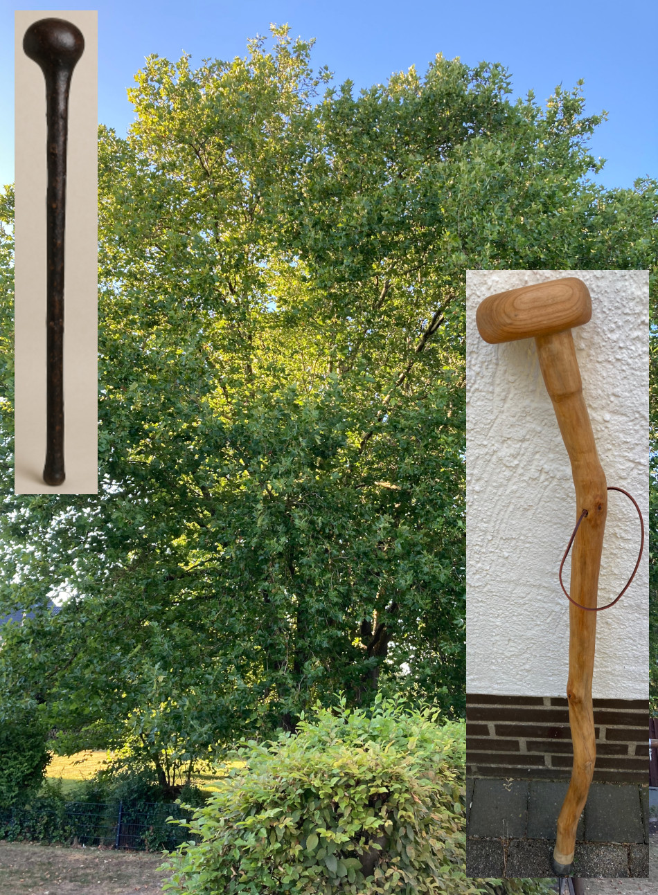 Shillelagh 2